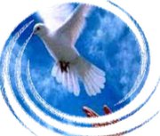 7ta. Clase de Discipulado - Llenos del Esp&iacute;ritu Santos